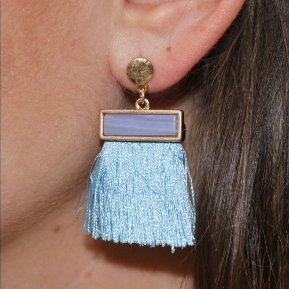NWOT Fringe Earrings!